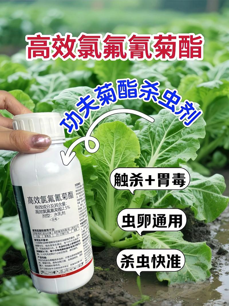 衢州代生中心:农药对供卵代生妈妈的危害